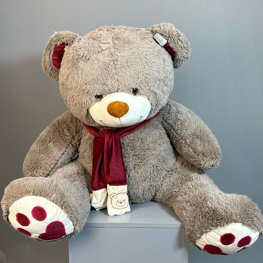 Oso De Peluche " Favorito "