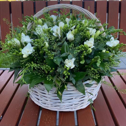 Basket of freesias