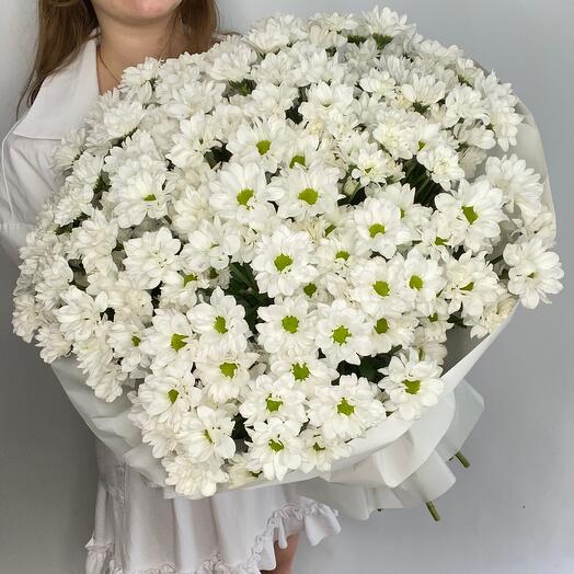 25 хризантем