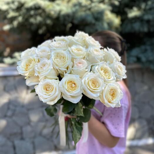 21 пионовидная Роза эквадор под ленту