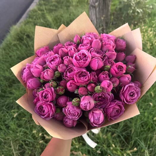 Róże krzewiaste💐