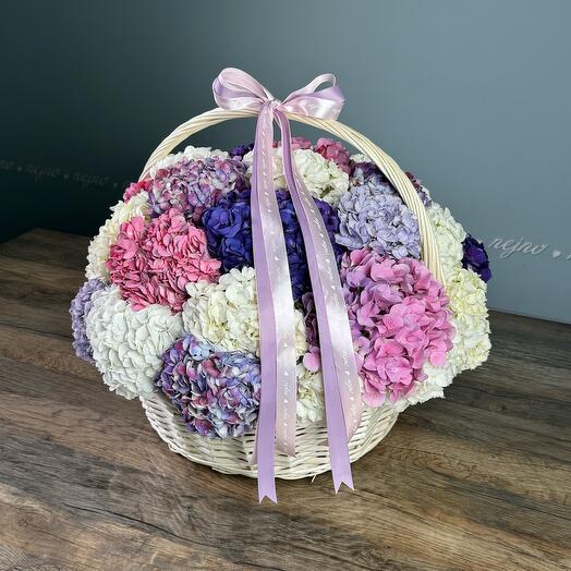 Hydrangea Basket (size L, multicolour)