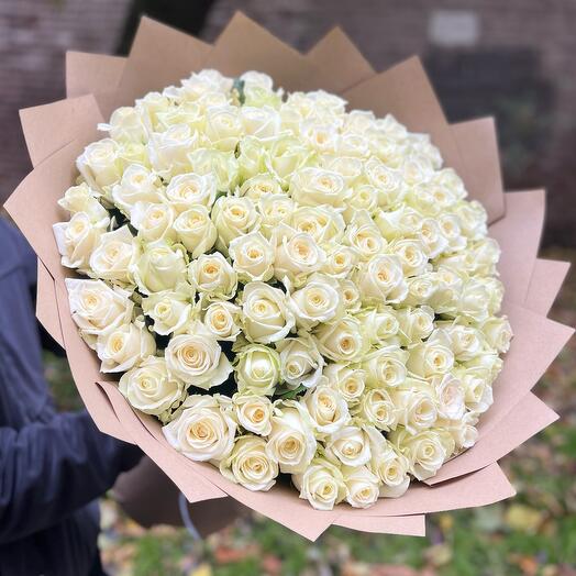 101 white roses 60 cm