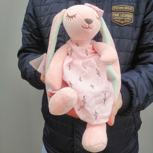 Спящий зайка