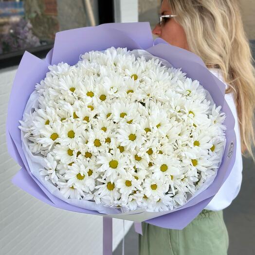 Chrysanthemum