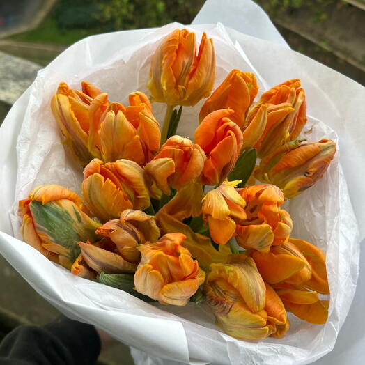 Tulips parrot mix double 15 stems