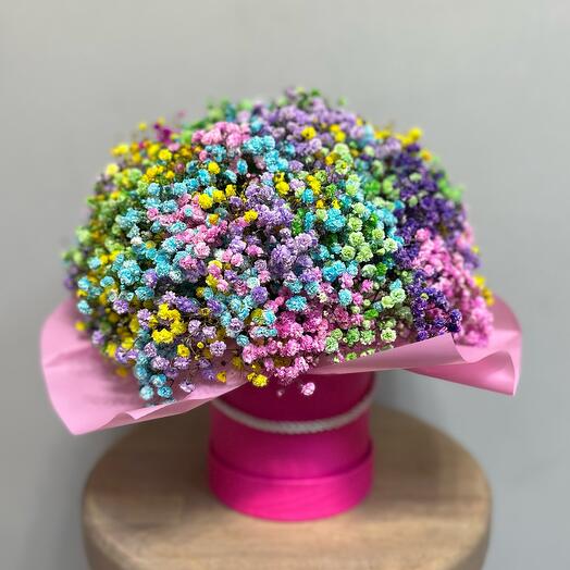 Nube arcoíris de gypsophila Mega