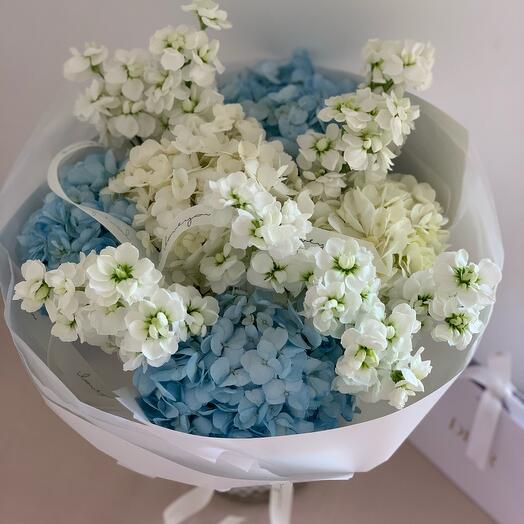 Azure hydrangea   matthiola