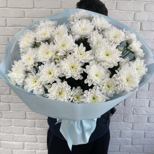 Хризантема Балтика