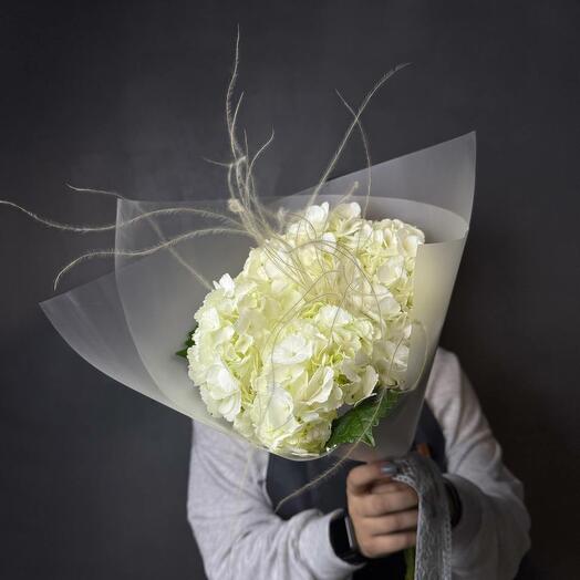 БЕЛАЯ ГОРТЕНЗИЯ 3 шт💐