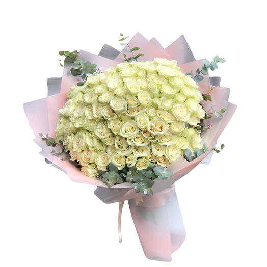 White rosas 101
