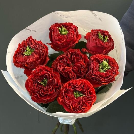 Monobucket of 7 peony-shaped roses is a rare Monster
