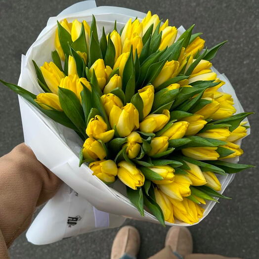 Yellow tulips
