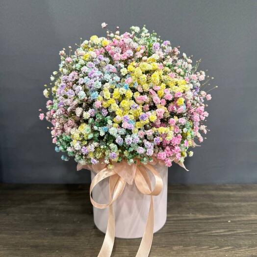 Gypsophila in a hatbox