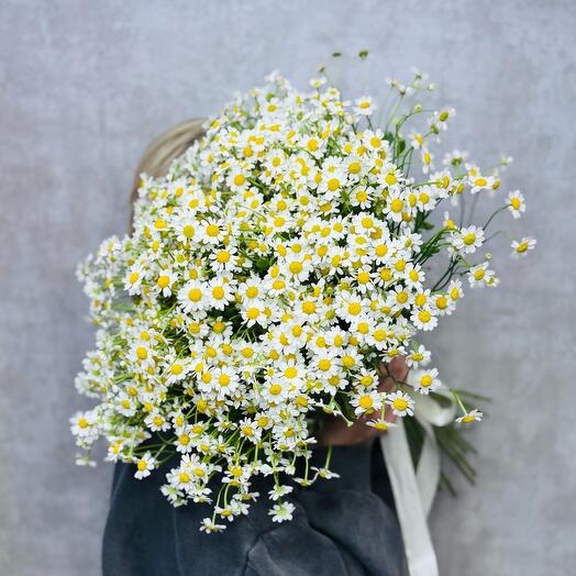 Букет из ромашек кустовых 35 штук. Летний полевой букет цветов для нее 🤩😍♥️