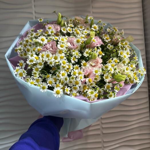 Камилла ромашка