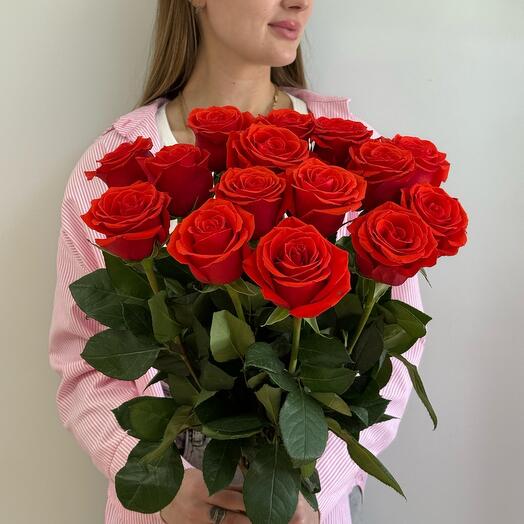 Алая  мечта