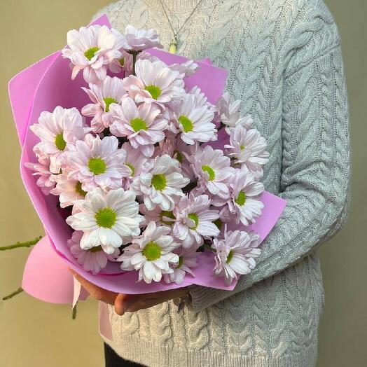 Букет из 5 нежных розовых ромашек кустовых хризантем в упаковке фоамиран
