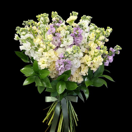 Matthiola bouquet