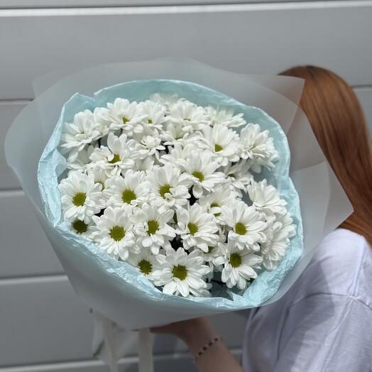 Моно букет из хризантем, ромашек