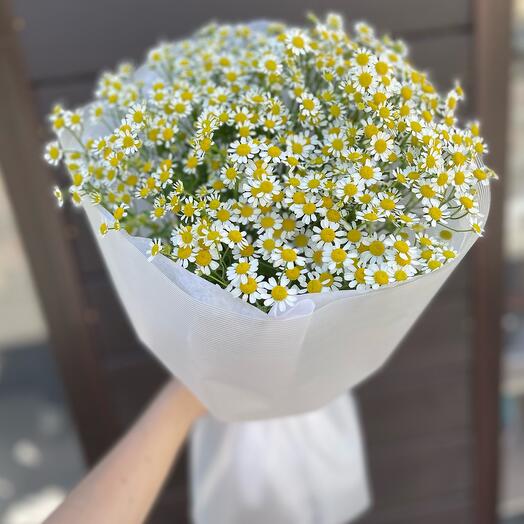 Букет ромашек