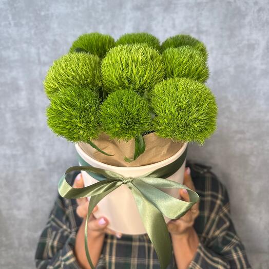 Гвоздика зеленая 💚в шляпной коробке 💚необычные цветы для нее 🤩