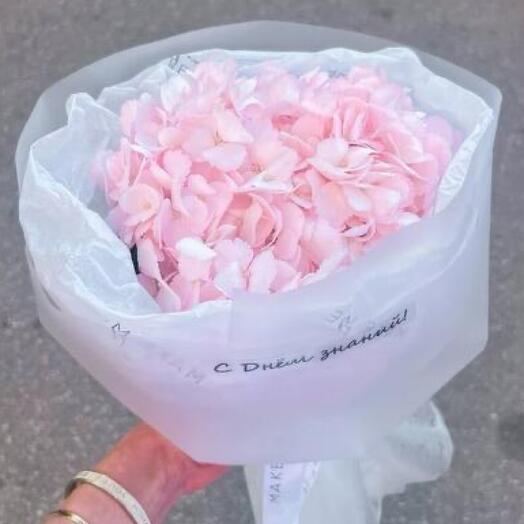 День знаний с розовой гортезией