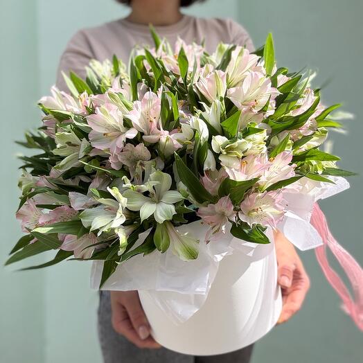 Alstroemeria en Caja