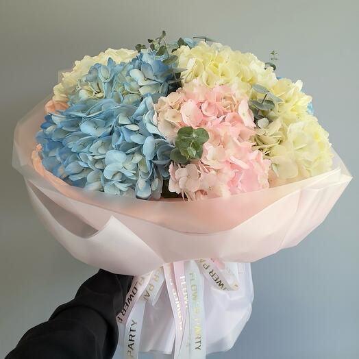 Pastel Dream