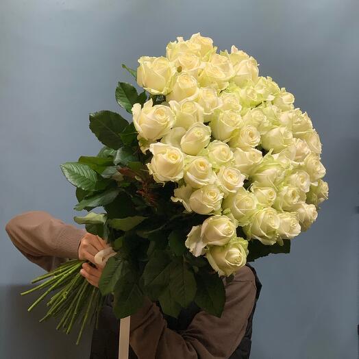 Белые розы 51шт