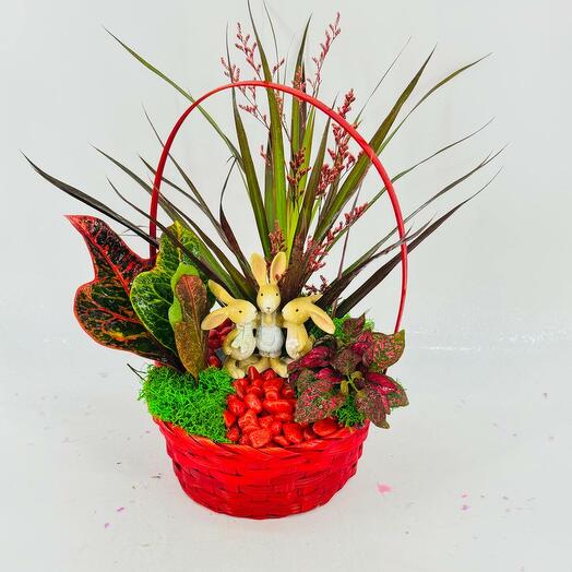 Красная корзина с комнатыми цветами и декором зайцами