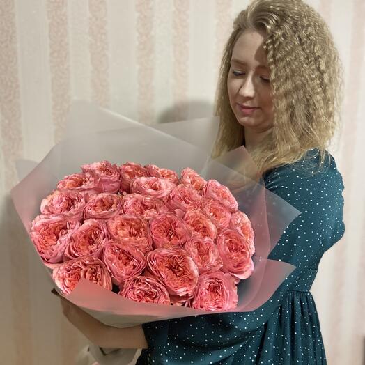 Роза Эквадор "Candy X-Pression" 25 шт