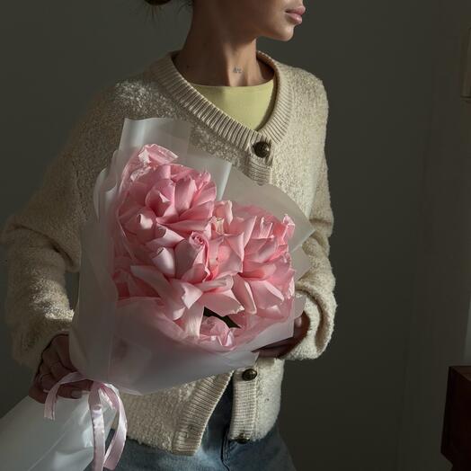 Французские розы Бэби Блум