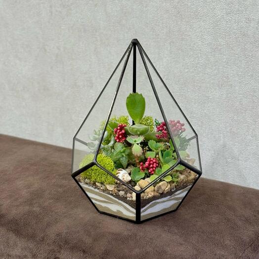 Флорариум любимой девушке