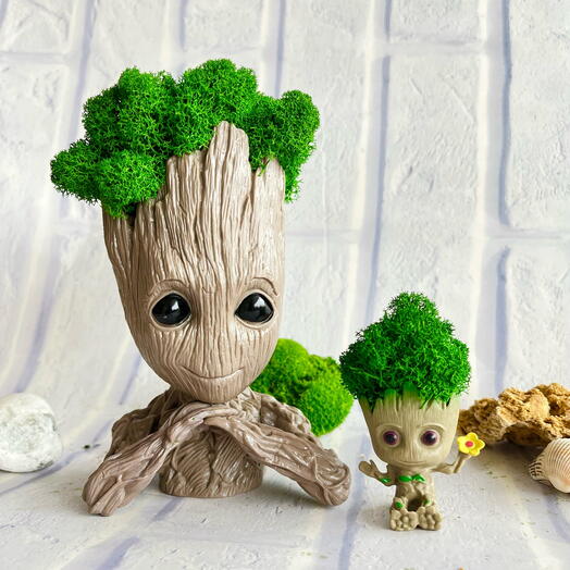 Набор подарочный грунты со мхом в подарок