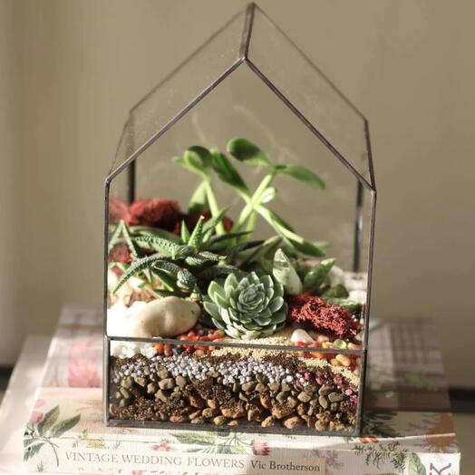 Szklany domek-terrarium – ręcznie wykonana kompozycja sukulentów