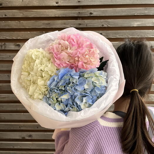 Гортензия в нежном букете микс цветная ( ВБ3)
