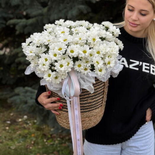 Кашпо с ромашками 🌸