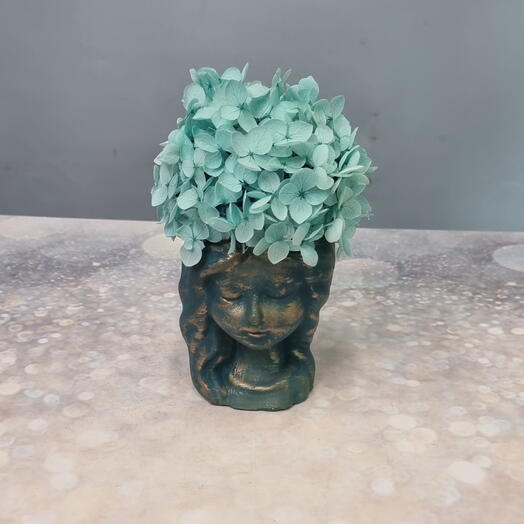 Гортензия стабилизированная в кашпо ручной работы Незнакомка