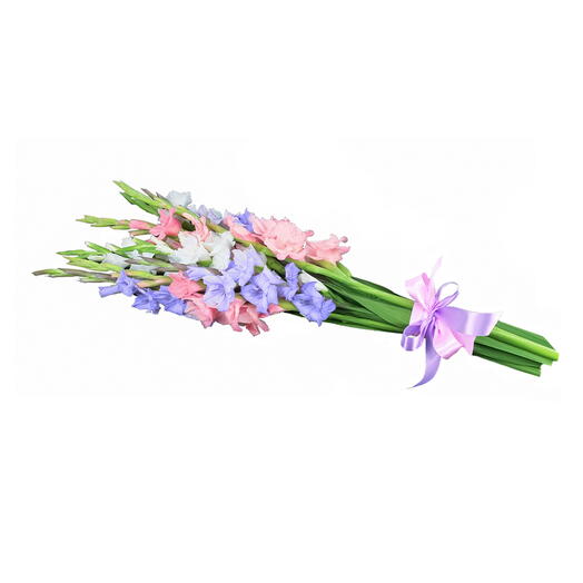 Букет из гладиолусов (25 гладиолусов)
