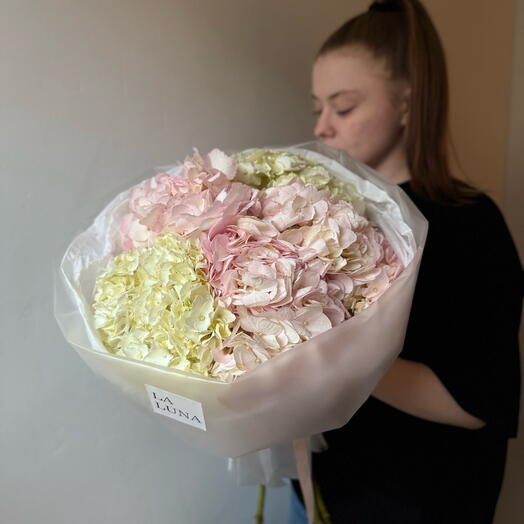 Монобукет из гортензий в бело-розовом цвете