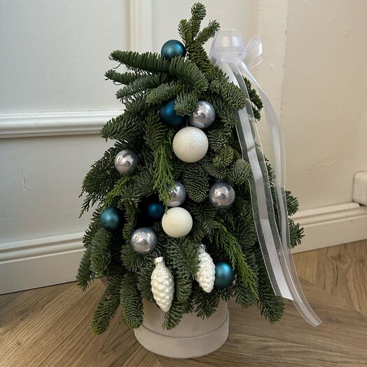 Ёлочка из нобилиса Blue