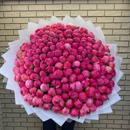 Букет из 151 пиона