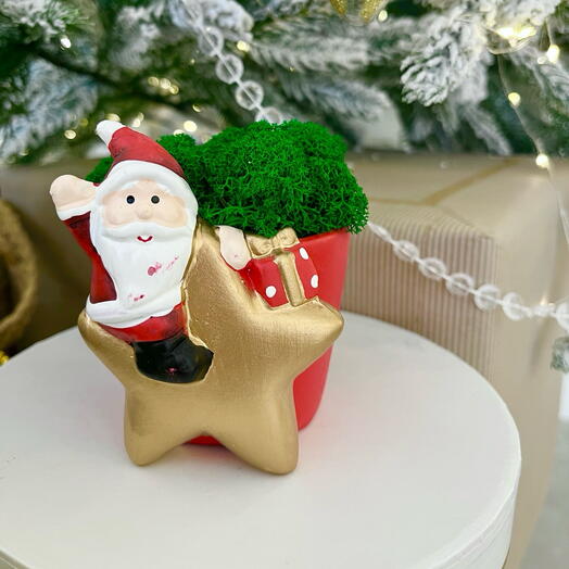 Кашпо со мхом новогоднее для девушки