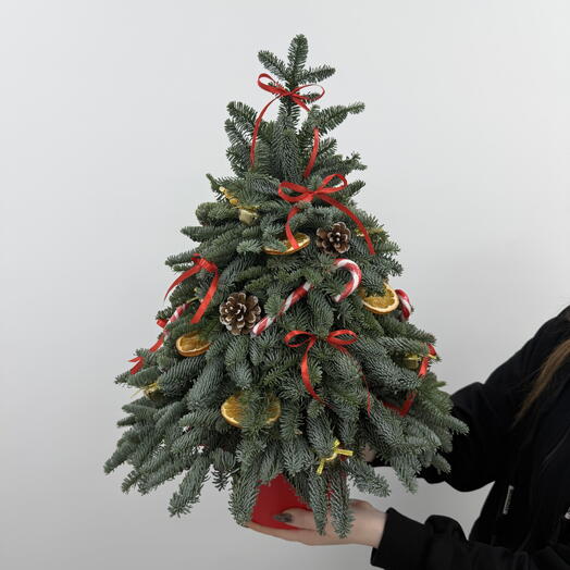 Ёлка из свежего нобилиса ручной работы на Новый год и Рождество