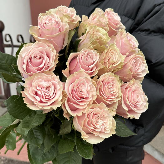 15 нежно-розовых эквадорских роз Пинк Мондиаль
