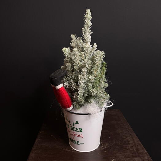 Пицея с дедом морозом мини