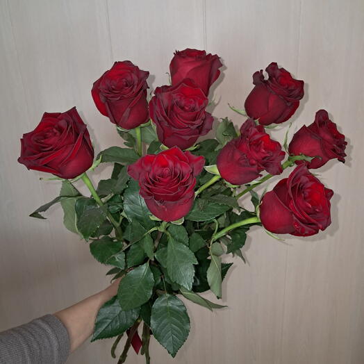 Роза красная 9