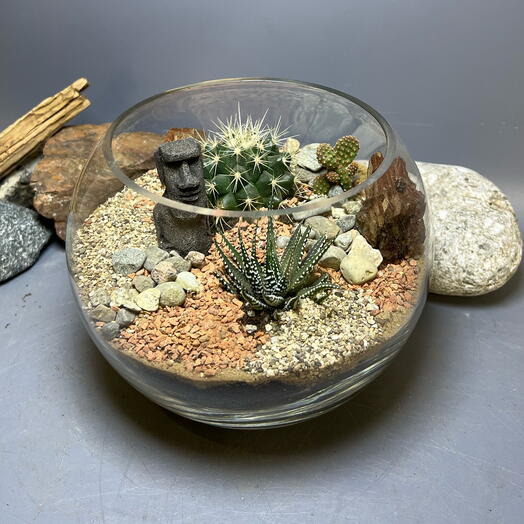 Суровый флорариум подарок мужчине с суккулентами