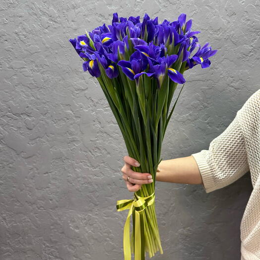 Ирисы 25 шт